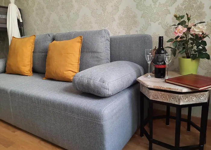 Apartment Inter Vienna-free Garage,near Schoenbrunn Palace Vienna
