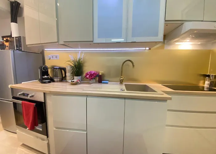 Apartment Inter Vienna-free Garage,near Schoenbrunn Palace